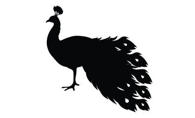 Peacock silhouette, Exotic bird icon, Elegant animal graphic design