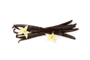 Vanilla pods isolated on white background. Vanilla flowers and seeds. vanilla stick bean. Aromatic spicy spice for pastries and desserts. Seasoning. Space for text. Copy Space