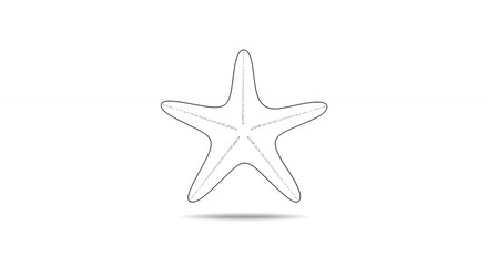 Obraz premium Simple white starfish illustration
