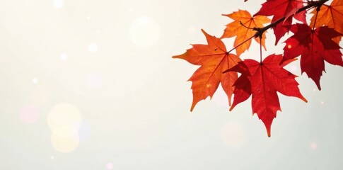 Fototapeta premium Colorful autumn leaves branch with vibrant reds and oranges, autumn leaves, seasonal