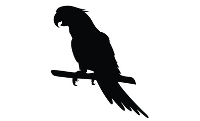parrot silhouette 