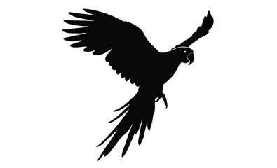 parrot silhouette 