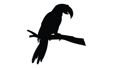 Parrot silhouette, Tropical bird icon, Exotic animal graphic