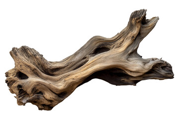 Driftwood branch weathered tree root natural wood texture decoration for aquarium isolated on a transparent background.