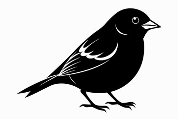 Obraz premium chaffinch sihouette black vector bundle