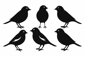 Fototapeta premium chaffinch sihouette black vector bundle