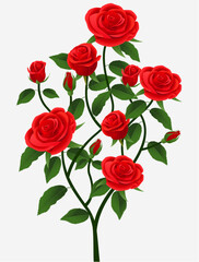 Red roses on a white background. Vector illustration for your design.
