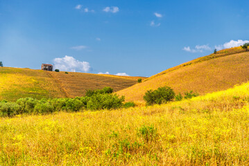 Fototapeta premium rural countryside landscape during a sunny summer day inside Val d'Agri, Basilicata