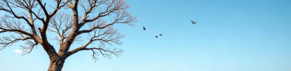 Branches of bare tree against clear sky with birds flying high in the air, wildlife, nature
