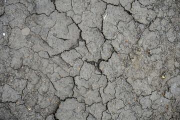 Dry Cracked Earth Surface Texture Background for Agriculture and Environment