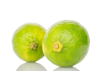 Two juicy limes, macro, isolated on white background.