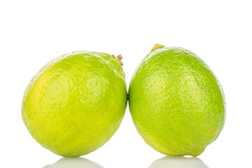 Two juicy limes, macro, isolated on white background.