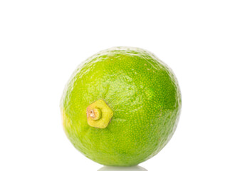 One juicy lime, macro, isolated on white background.