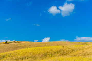 Fototapeta premium rural countryside landscape during a sunny summer day inside Val d'Agri, Basilicata