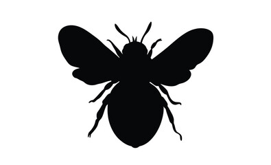 Bee silhouette, Flying bee vector, Insect black graphic, Bee illustration on white background
