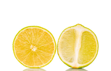Two halves of a juicy lime, macro, isolated on a white background.