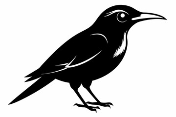 wallcreeper sihouette black vector