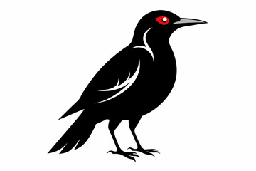 wallcreeper sihouette black vector