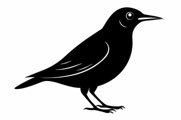 wallcreeper sihouette black vector