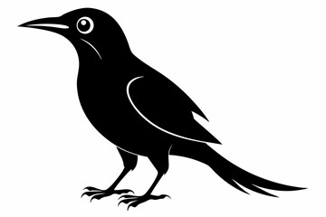 Obraz premium wallcreeper sihouette black vector