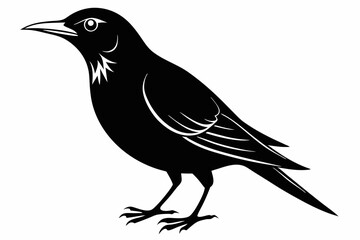 wallcreeper sihouette black vector