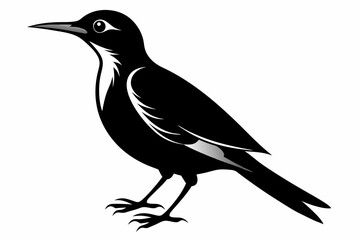 wallcreeper sihouette black vector