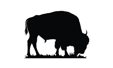 Bison silhouette, American buffalo graphic, Wild bison icon, Animal silhouette on white background