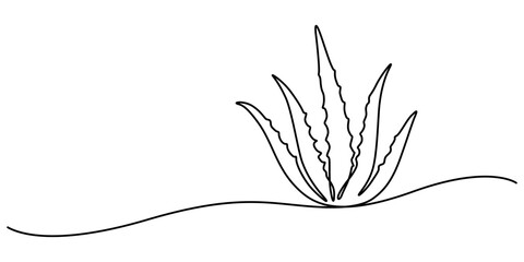 One single line drawing of healthy organic green aloe vera for farm logo identity, Aloe vera plant sketch, simple vector illustration, background, label design. One continuous line drawing art style.