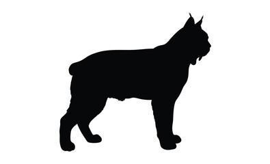 Bobcat silhouette, Wild cat icon, Bobcat animal graphic, Predator illustration on white background