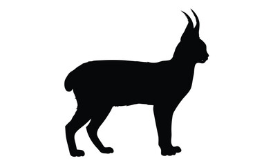 Caracal silhouette illustration, Wild cat icon, Predator animal graphic design