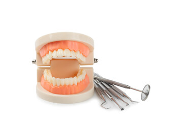 Dentist tools isolated on white background. Dentist Concept.Teethcare, dental health concept. Means to care for the oral cavity. Dental model and dental equipment. Dental hygiene. 