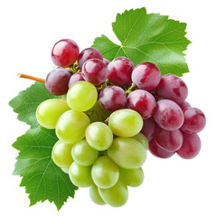 Fototapeta premium Red and green grape clusters with leaves, isolated on transparent background.