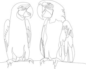 One Line Drawing of Macaw Parrots