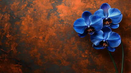 Vibrant blue orchids on a rustic copper background.