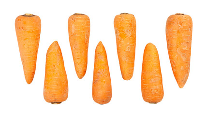 carrots path isolated on white