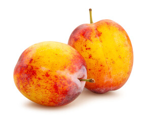 plum path isolated on white