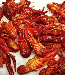 Red crayfish on ice at the fishmonger