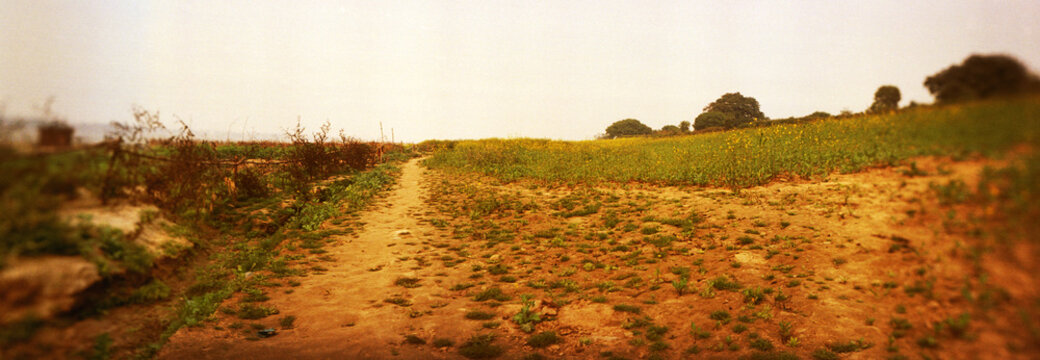 Panoramic image field, Varanasi, Uttar Pradesh, India.