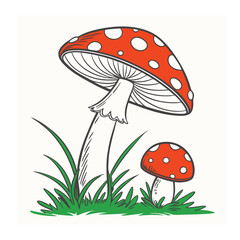 mushrooms in the grass