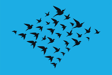 Fototapeta premium flock of birds