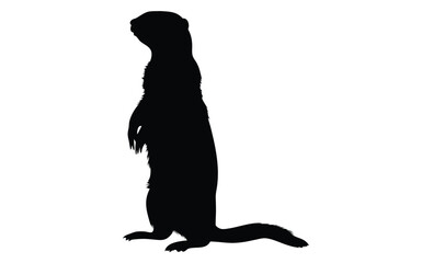 Meerkat silhouette, Standing meerkat graphic, Wild animal icon, Meerkat illustration on white background