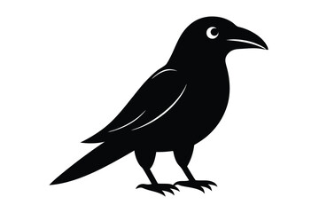 a-crow-vector-art-illustriton-white-baground.eps