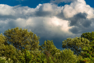 Obraz premium rural countryside landscape during a sunny summer day inside Val d'Agri, Basilicata