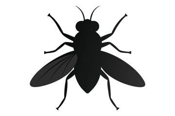 set of insects