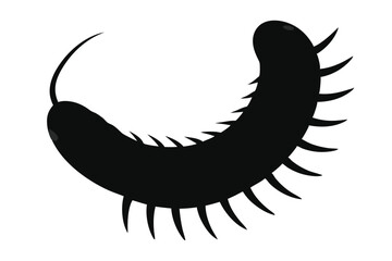 a--millipede-silhuette-vector-art-illustriton-whit.eps