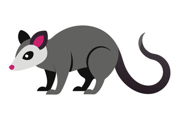 a-opossum-vector-art-illustriton-white-baground (1).eps