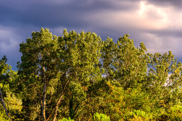 rural countryside landscape during a sunny summer day inside Val d'Agri, Basilicata