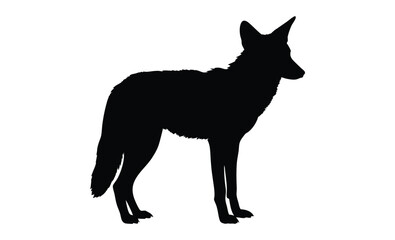 Coyote silhouette, Hand drawn coyote graphic, Forest animal illustration