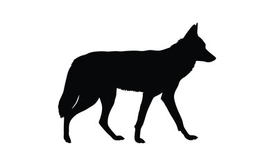 Coyote silhouette, Hand drawn coyote graphic, Forest animal illustration