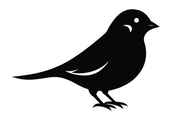 silhouette of a bird